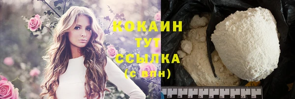МДПВ Новозыбков