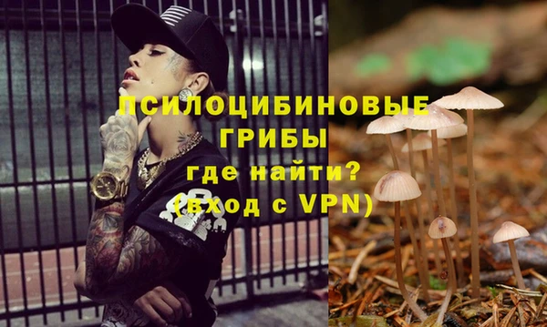 МДПВ Новозыбков