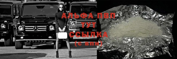 МДПВ Новозыбков