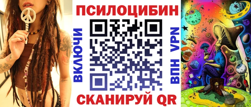 цены наркотик  маркетплейс Telegram  Псилоцибиновые грибы Psilocybe  Шали 